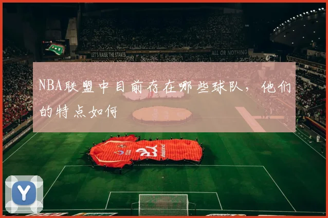 NBA联盟中目前存在哪些球队，他们的特点如何