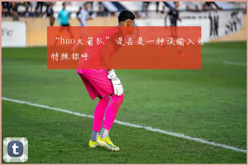 “huo火箭队”是否是一种误输入或特殊称呼