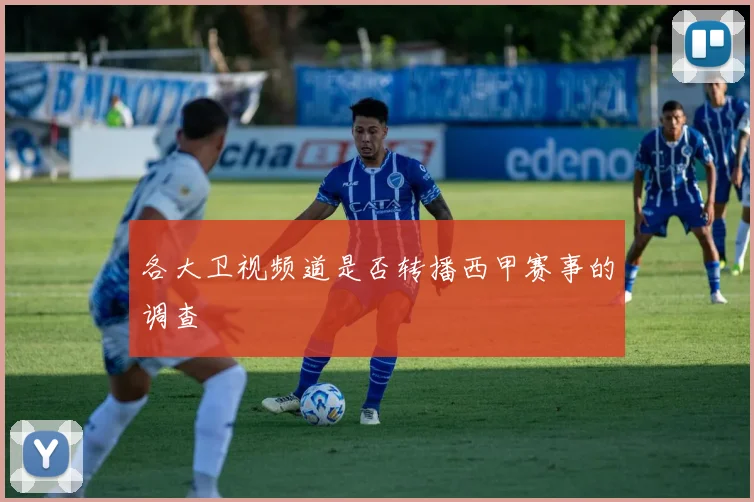 各大卫视频道是否转播西甲赛事的调查