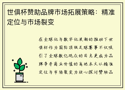 世俱杯赞助品牌市场拓展策略：精准定位与市场裂变