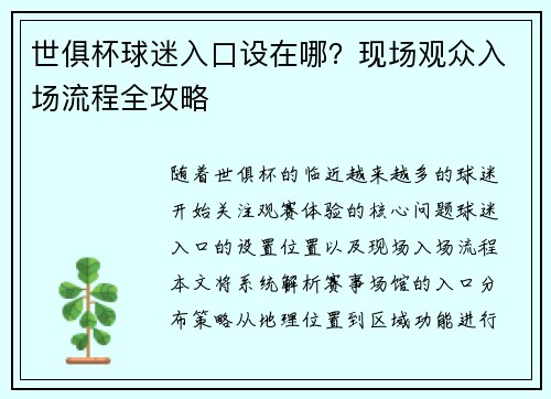 世俱杯球迷入口设在哪？现场观众入场流程全攻略